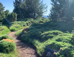parque-tematico-sendero